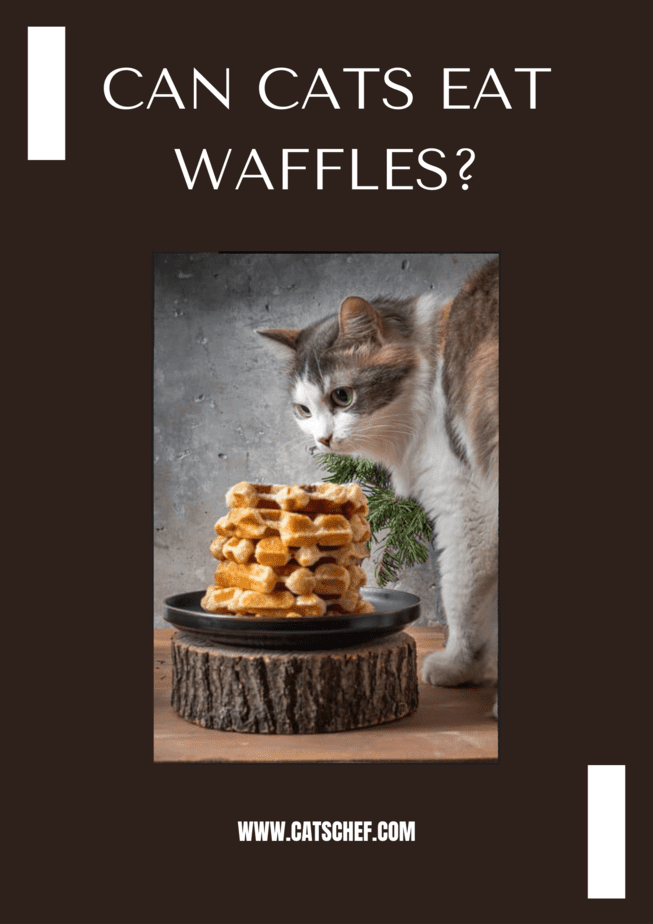 Can Cats Eat Waffles?