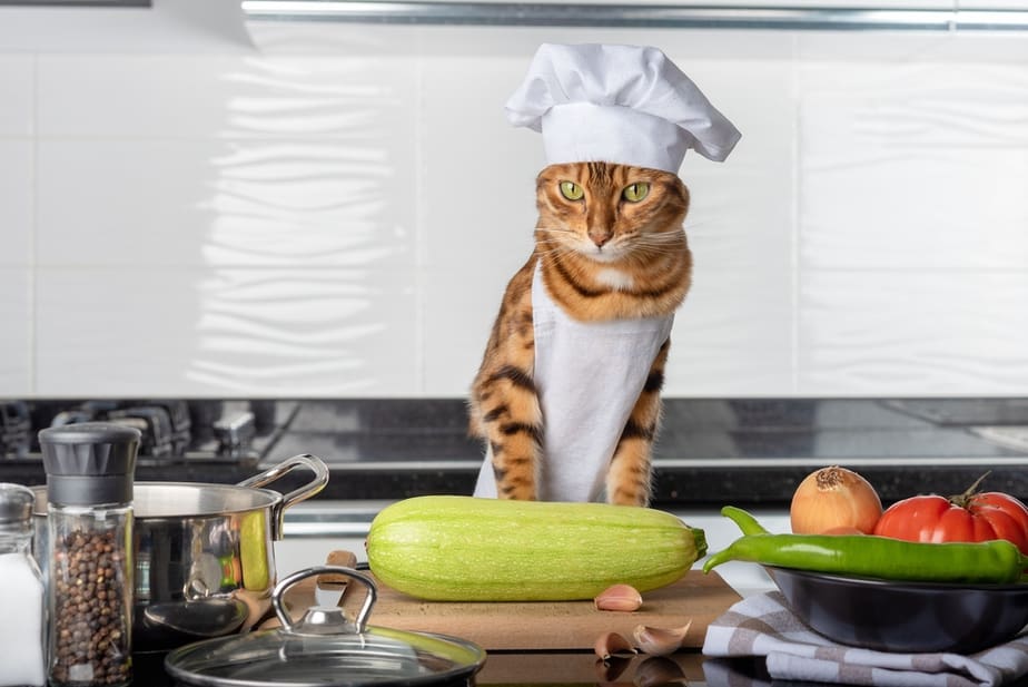 Kediler Kabak Yiyebilir mi? Bu Sebze Kedim İçin İyi Bir Seçim mi?