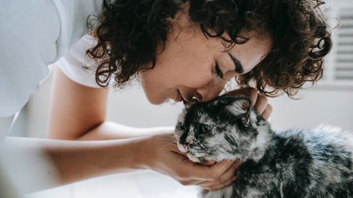 11 Actual Health Benefits Of Having A Cat (The Purr Is A Cure)