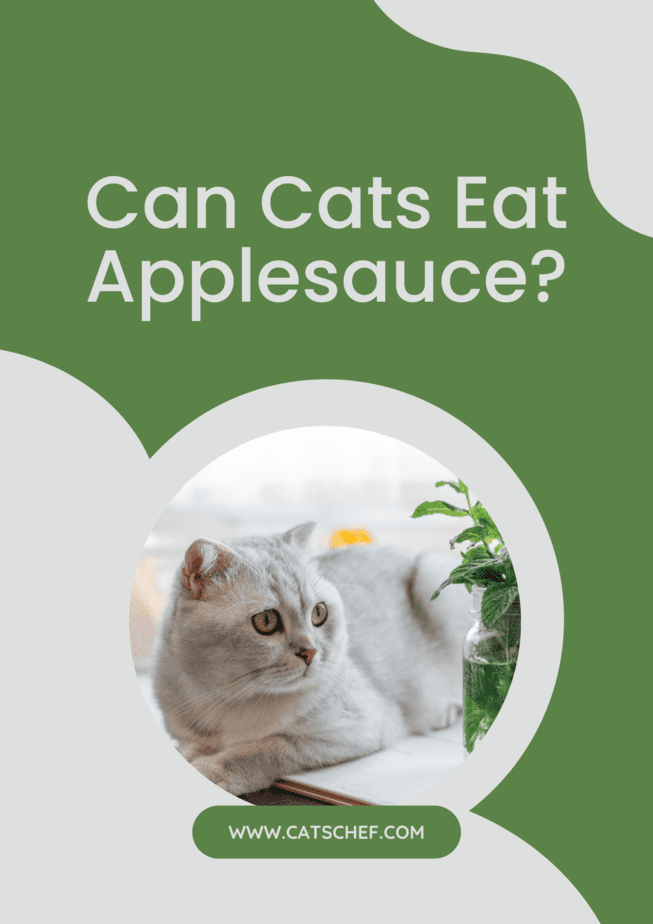 Can Cats Eat Applesauce?