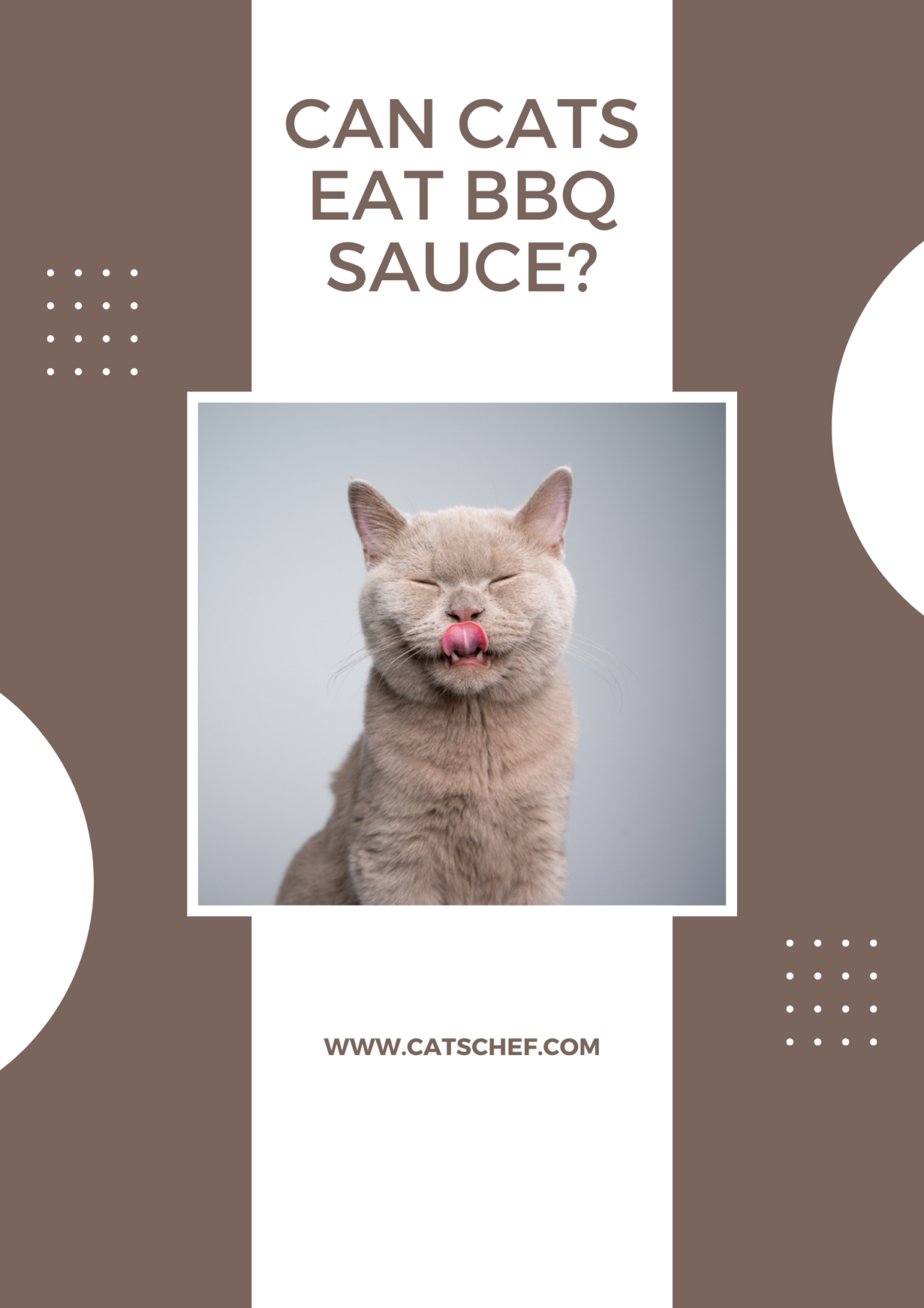 Can Cats Eat BBQ Sauce? Here's What You Need To Know!