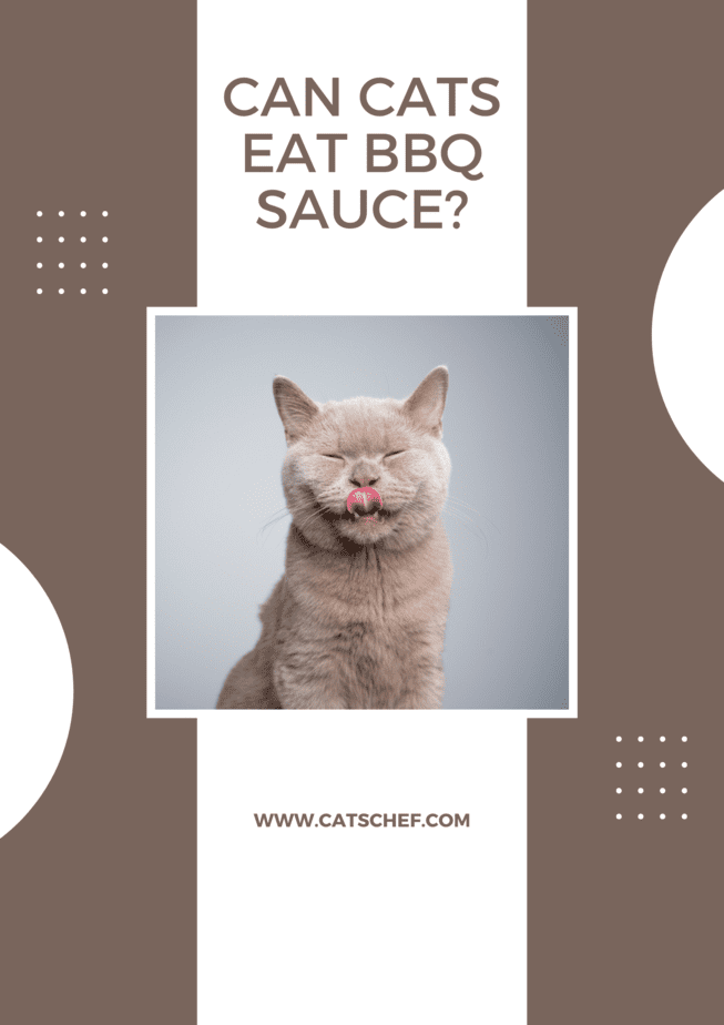 Can Cats Eat BBQ Sauce?