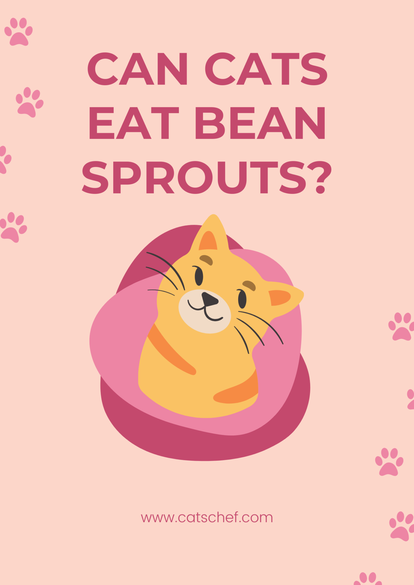 Can Cats Eat Bean Sprouts? Purrfect Greens For Your Picky Eater?