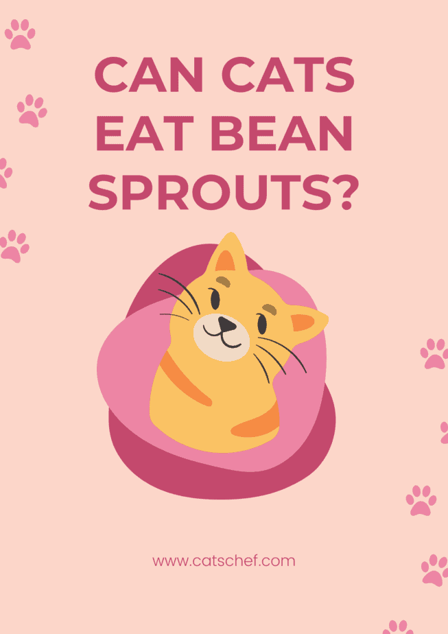 Can Cats Eat Bean Sprouts?