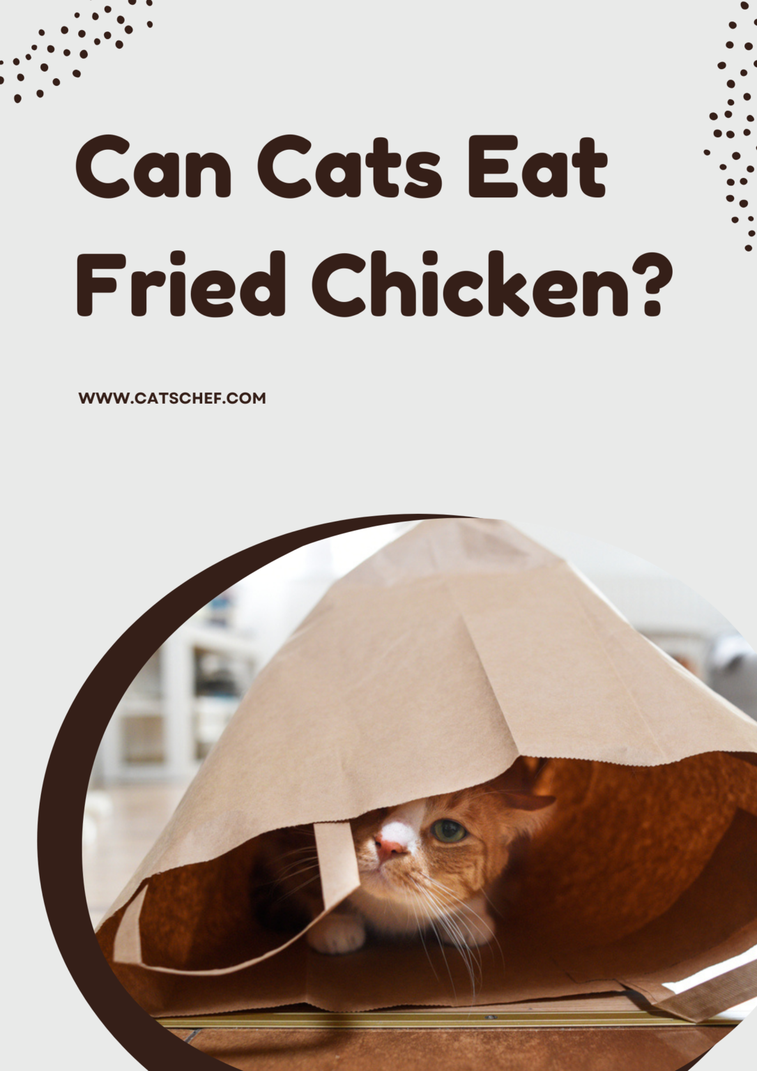 Can Cats Eat Fried Chicken? Is This Crunchy Treat Safe For Your Cat?