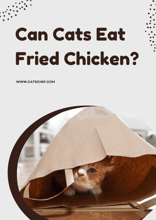 fried cats