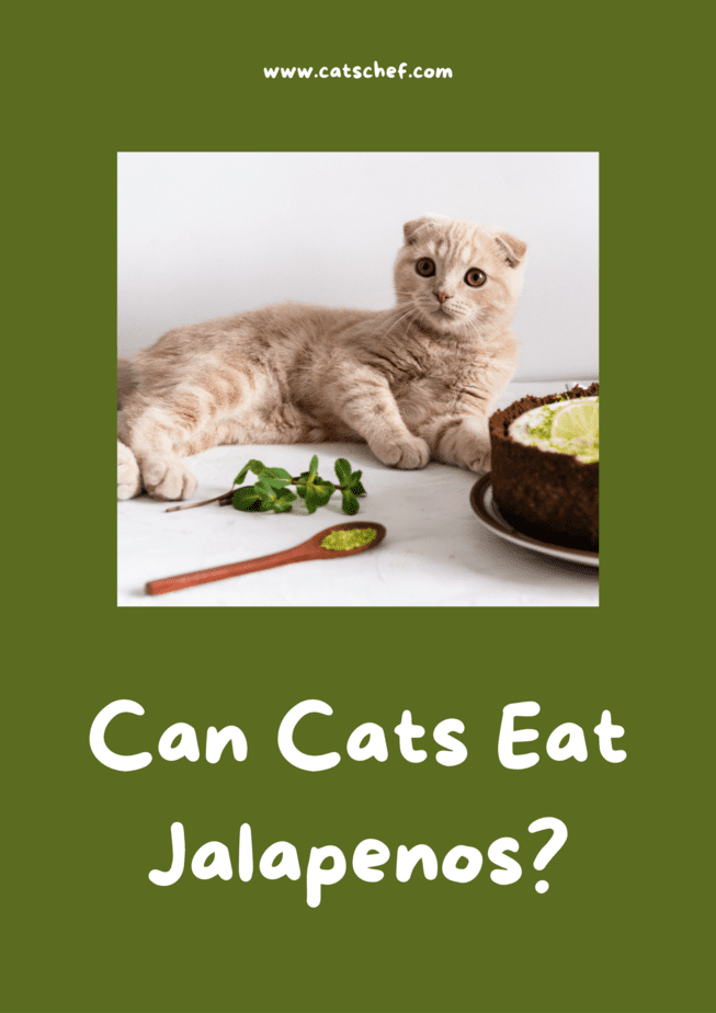 Kediler Jalapenos Yiyebilir mi?