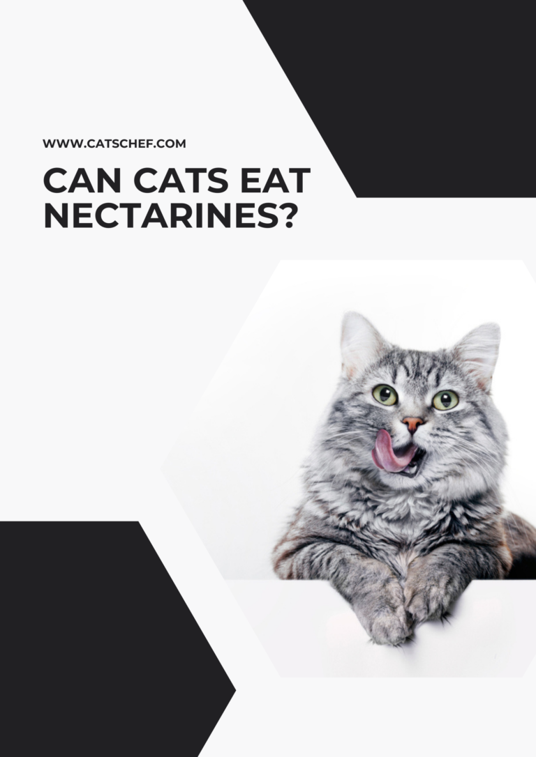 Can Cats Eat Nectarines? Are These SmoothSkinned Fruits Safe?