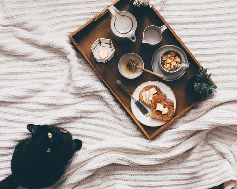 Can Cats Eat Syrup