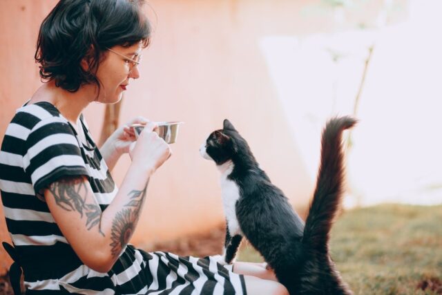 Can Cats Eat Tomato Sauce