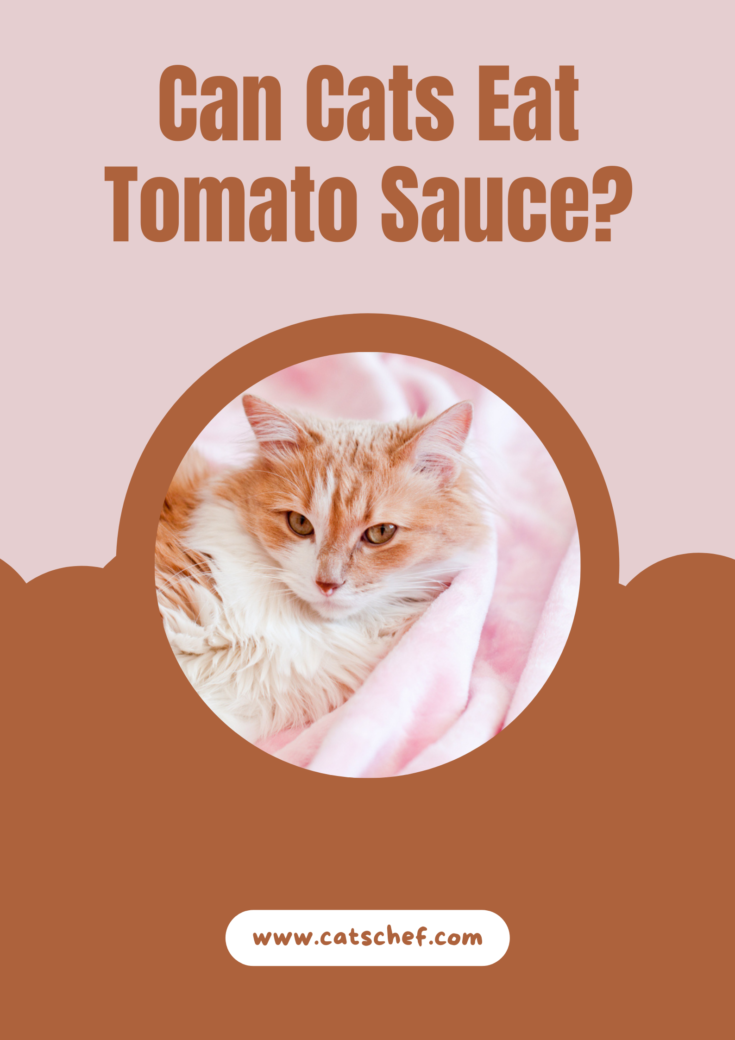 Can Cats Eat Tomato Sauce? Is It Toxic Or Safe To Enjoy?