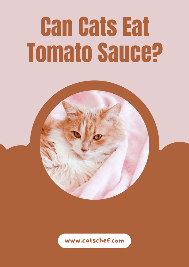 Cats eat tomato sauce sale