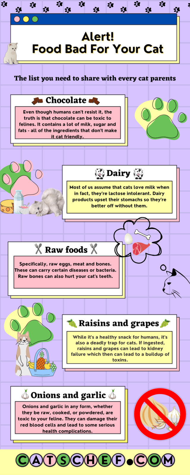 Can Cats Eat Takis? Are There Any Risks?