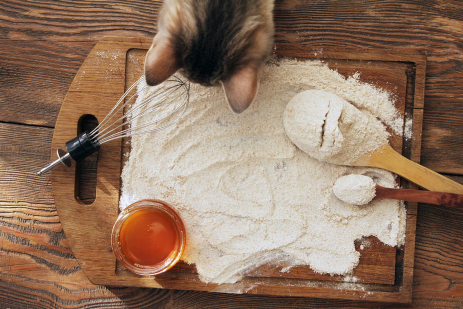 Can Cats Eat Flour? Do They "Knead" It In Their Regular Diet?