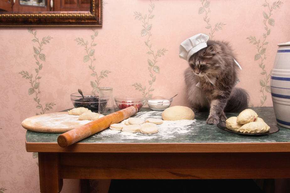 Can Cats Eat Flour? Do They "Knead" It In Their Regular Diet?