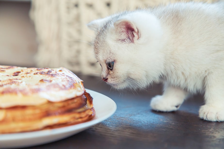 Kediler Krep Yiyebilir mi? Onların İyiliği İçin İyi mi?