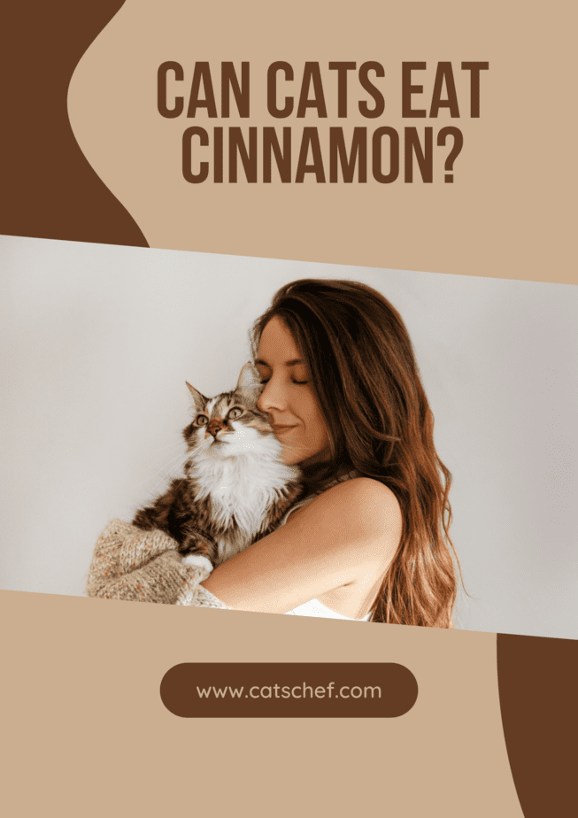 Can Cats Eat Cinnamon?