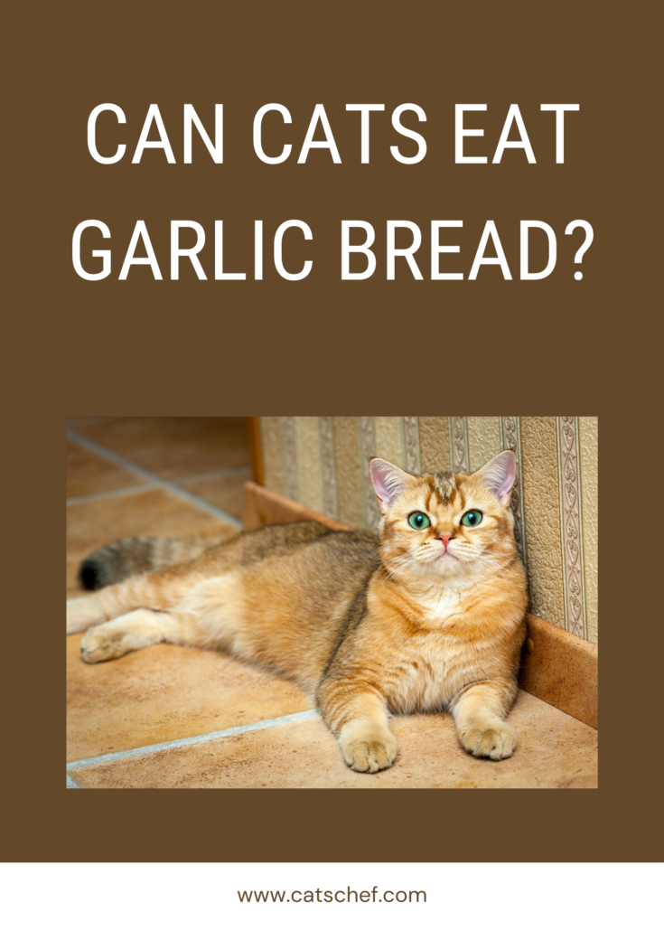 Can Cats Eat Garlic Bread? A Much Kneaded Conversation!
