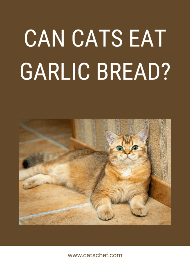 Can Cats Eat Garlic Bread?