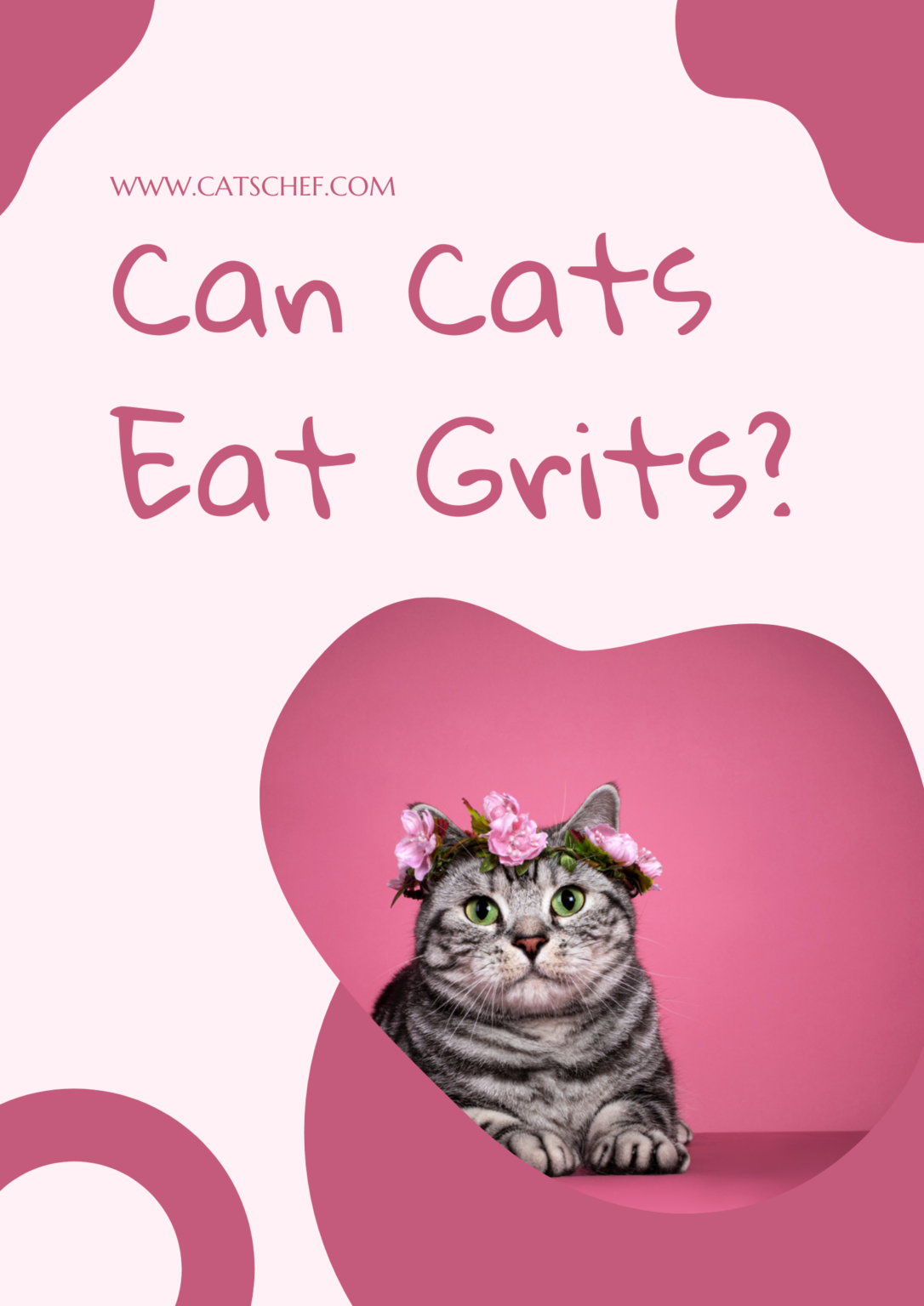 Can Cats Eat Grits? Does This Breakfast Option Get "Yay" Or "Nay"?