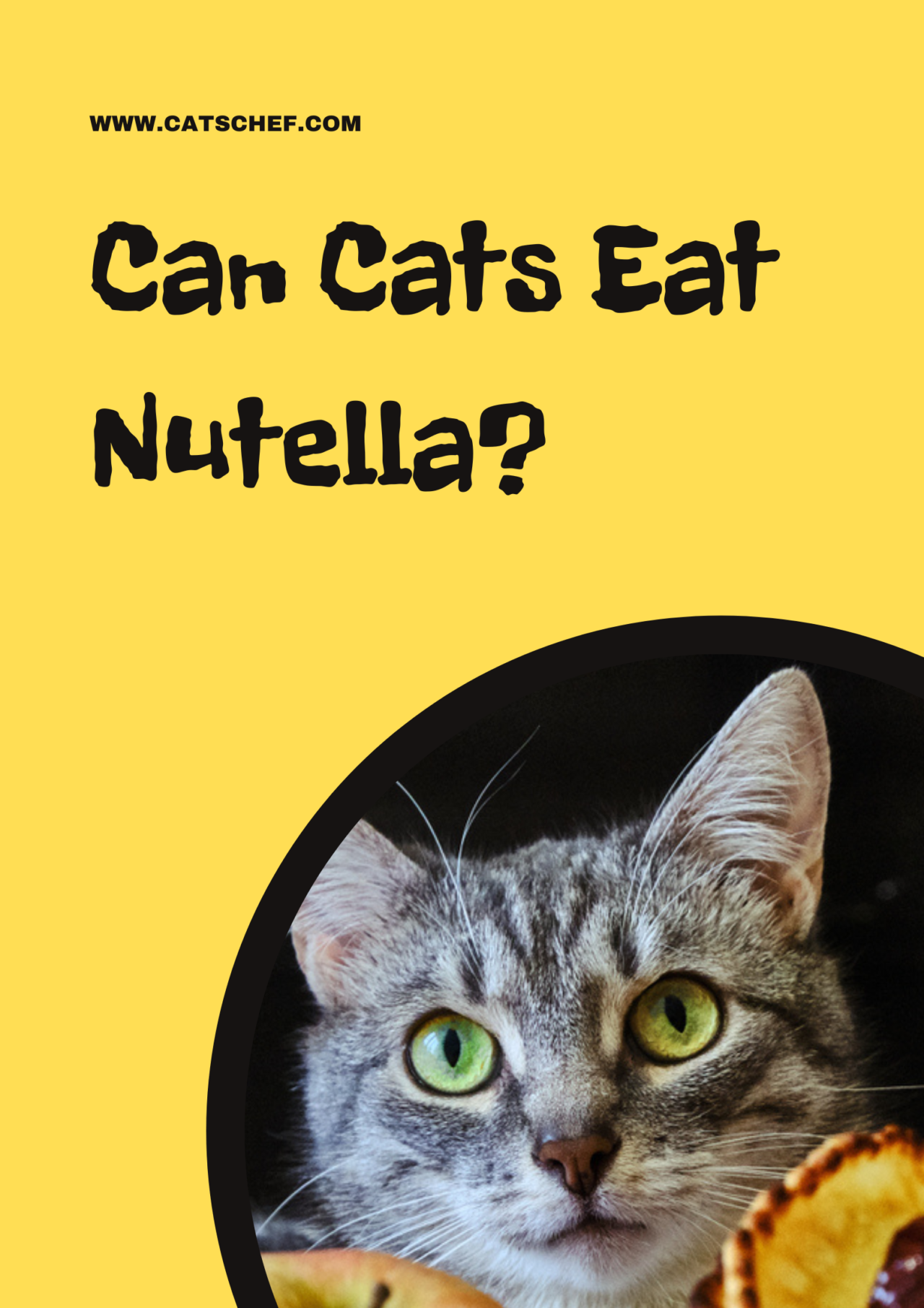Can Cats Eat Nutella? Is This The Right Choice For Your Fella?