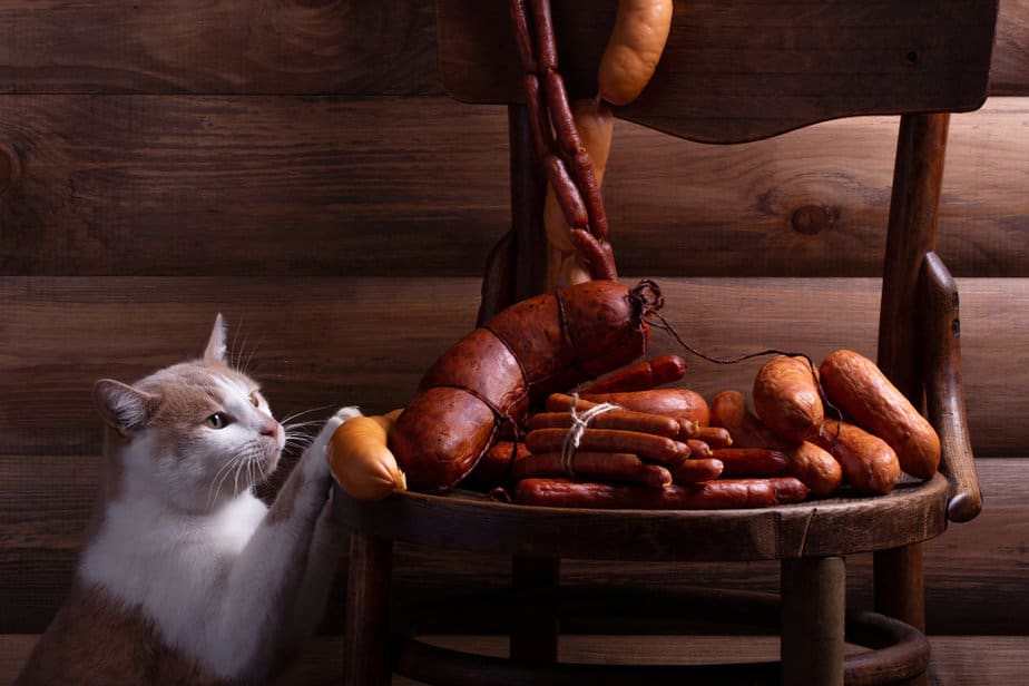 Can Cats Eat Chorizo? Is This Treat Putting Your Cat At Risk?