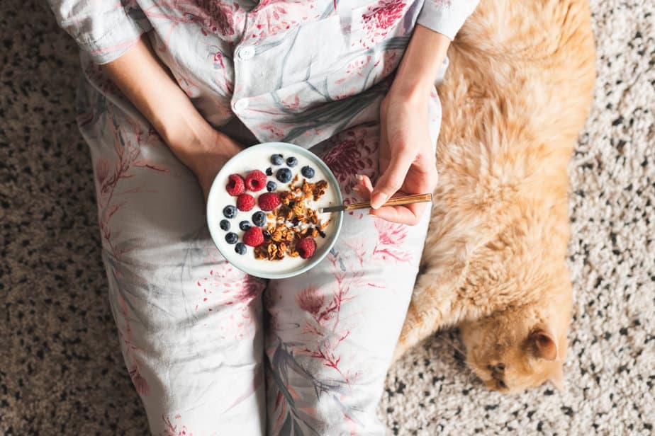 Can Cats Eat Cashews? To Hide The Nut Or Share It With Your Cat?