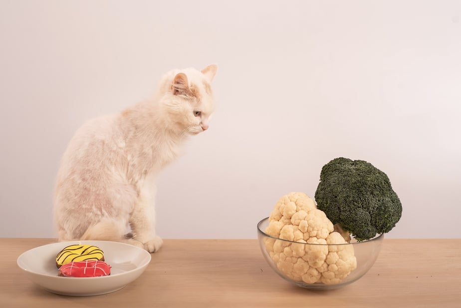 Kediler Karnabahar Yiyebilir mi? Bu Sebzenin Sihirli Güçleri Var mı?