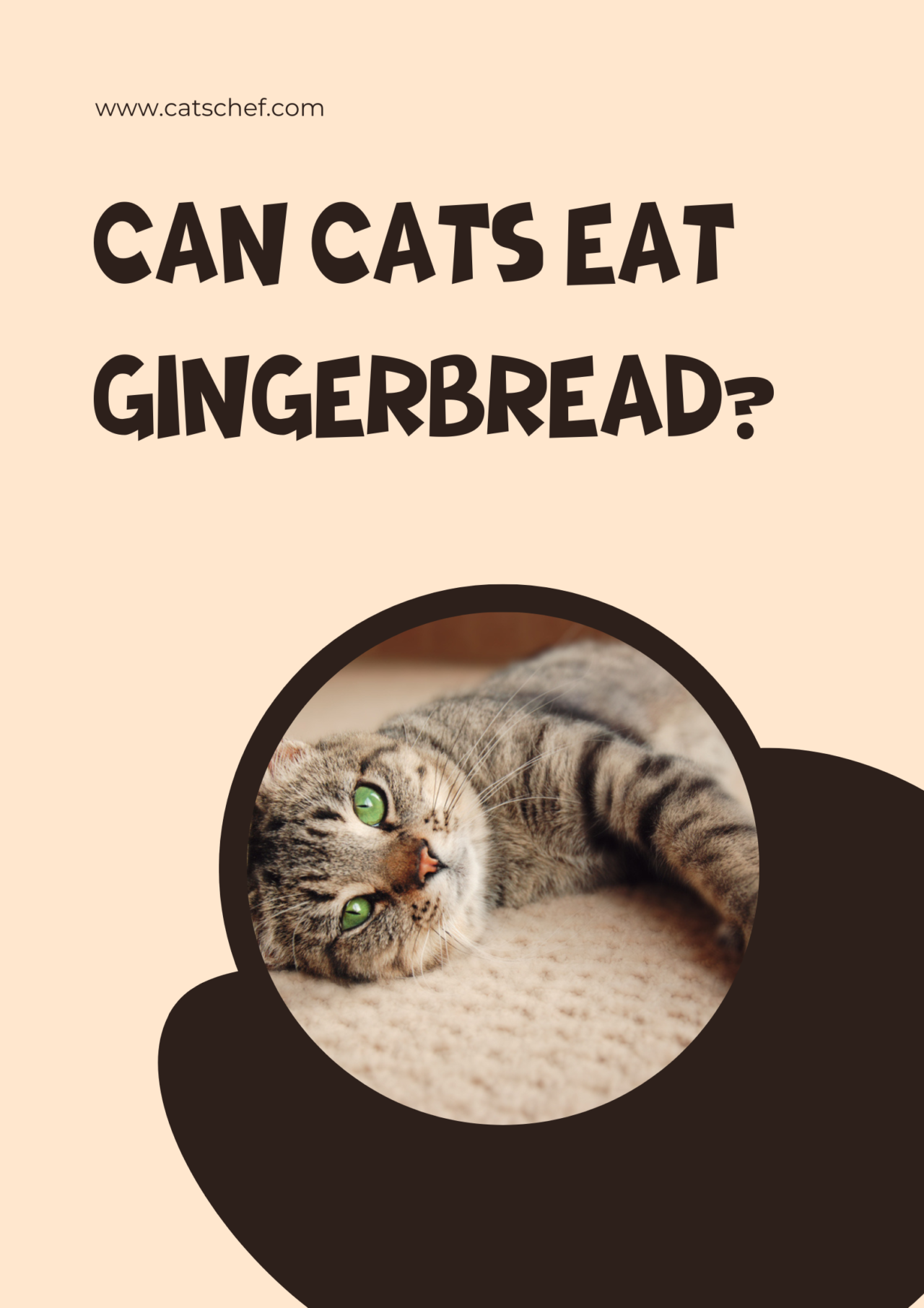 Can Cats Eat Gingerbread? Or Should They Approach It Gingerly?