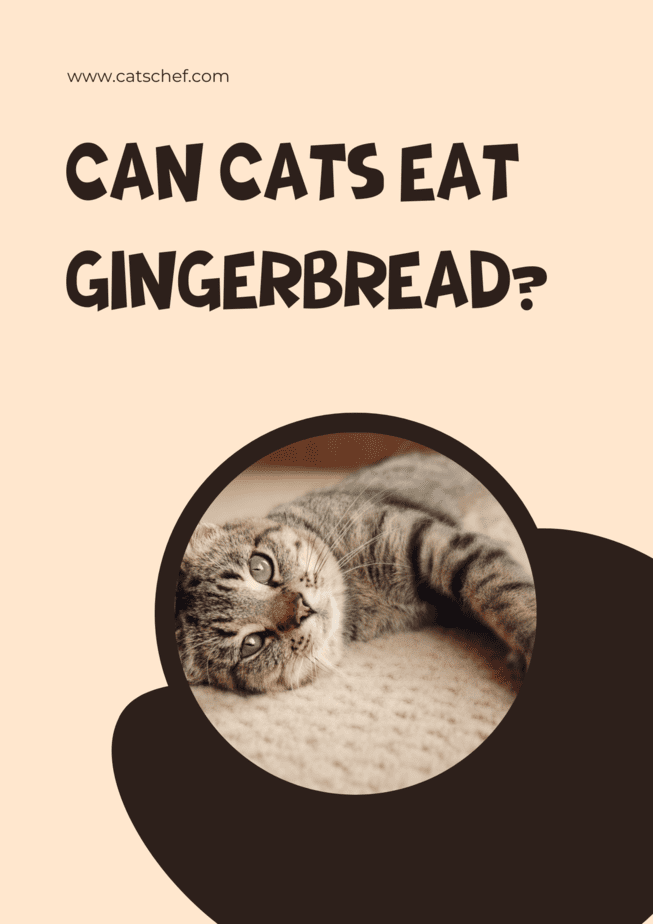Can Cats Eat Gingerbread?