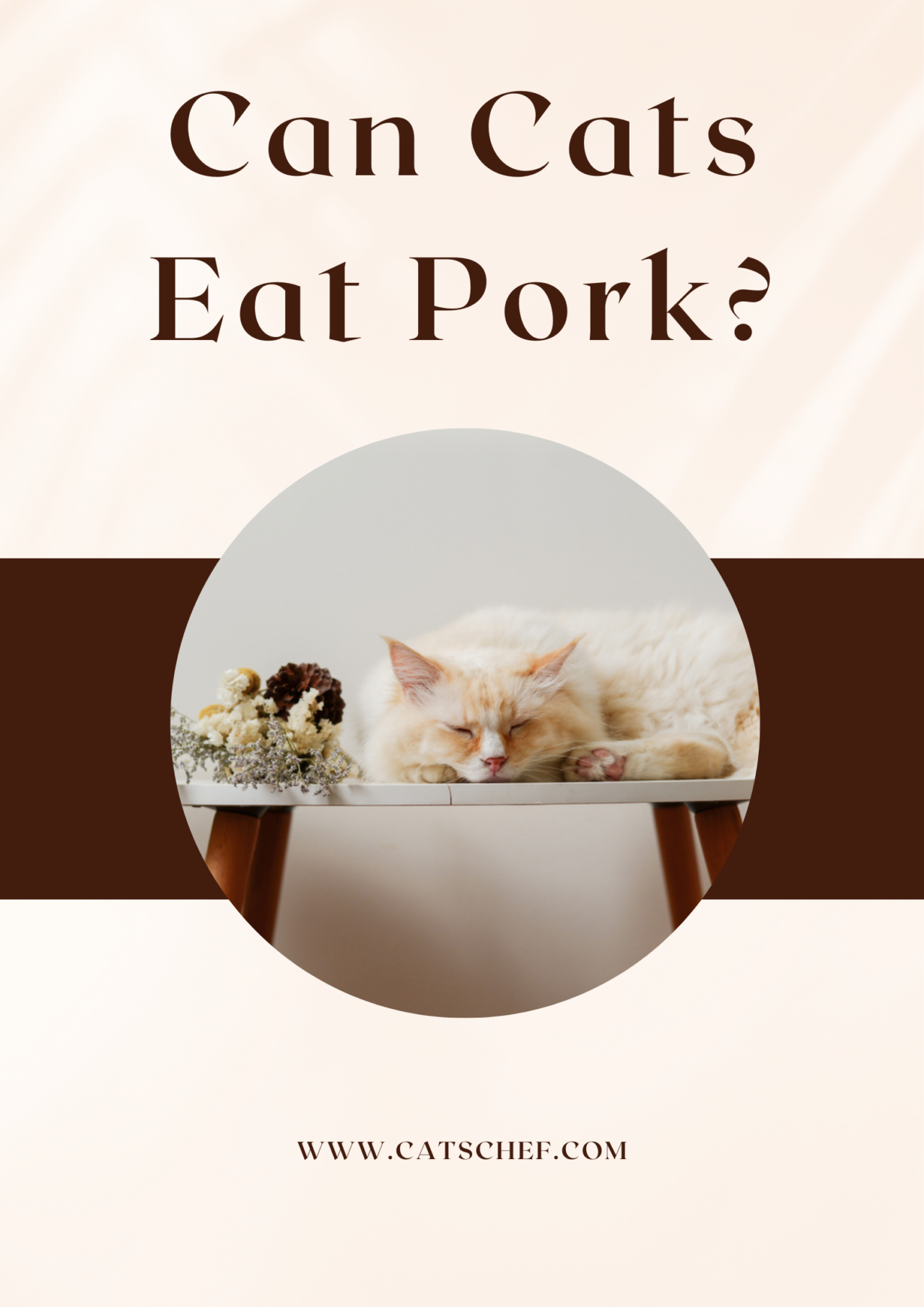 Can Cats Eat Pork? There's Nothing Boaring About This Tasty Treat!