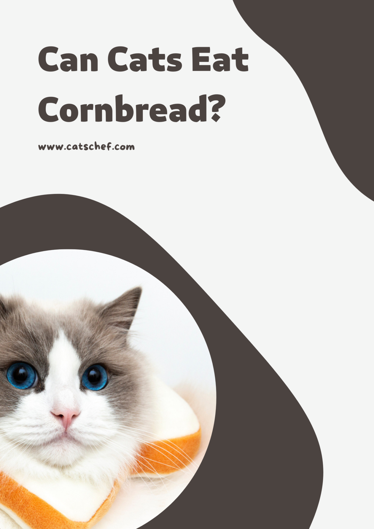 Can Cats Eat Cornbread? Stand Your Ground Or Go Ahead?