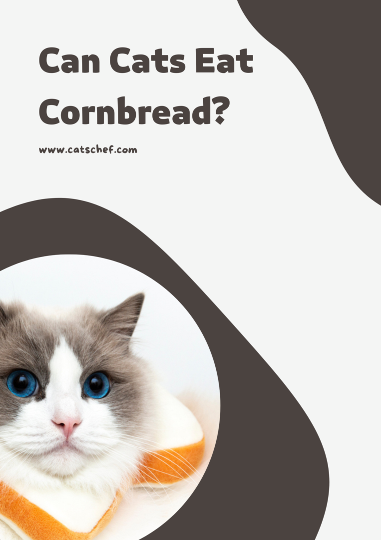 can-cats-eat-cornbread-stand-your-ground-or-go-ahead