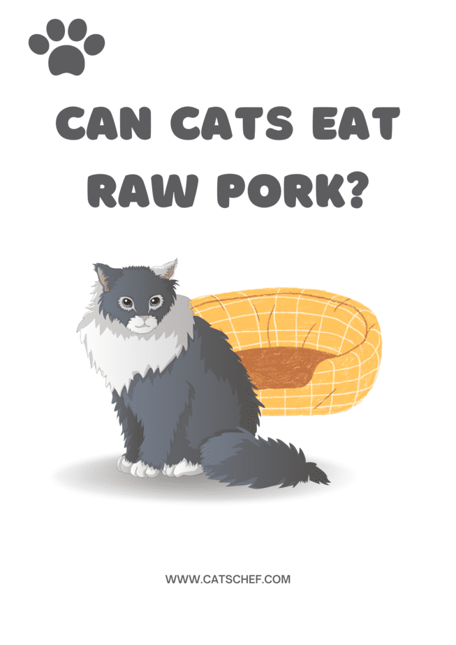 Can Cats Eat Raw Pork?