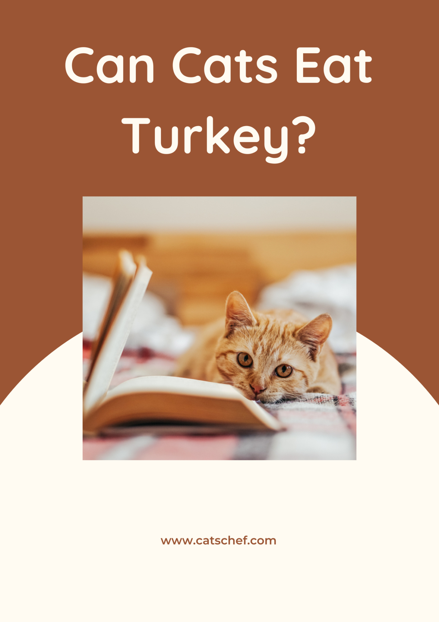 Can Cats Eat Turkey? Can They Gobble Down The Thanksgiving Dinner?