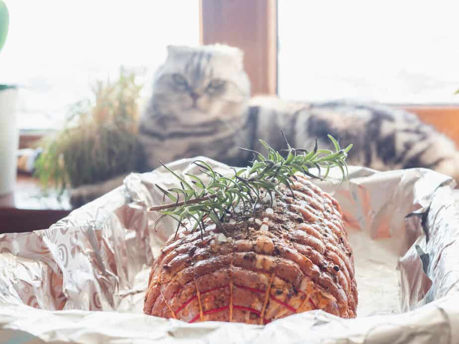 Kediler Hindi Yiyebilir mi? Şükran Günü Yemeğini Yutabilirler mi?
