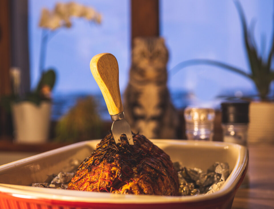 Can Cats Eat Turkey? Can They Gobble Down The Thanksgiving Dinner?