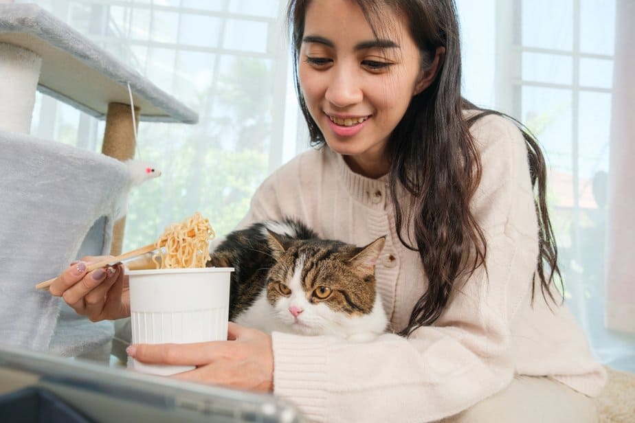 Kediler Ramen Eriştesi Yiyebilir mi? Onlar İçin Güvenli mi?