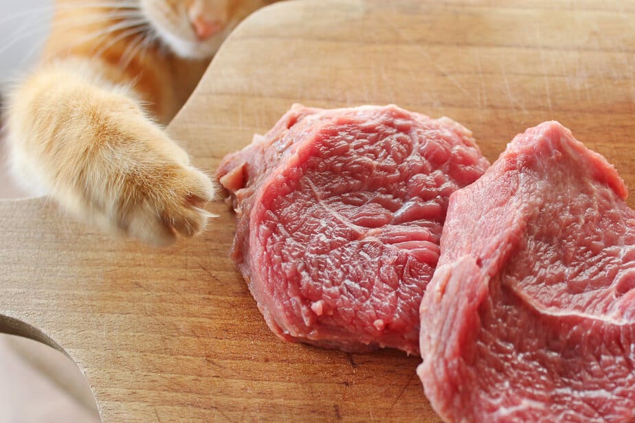Kediler Çiğ Domuz Eti Yiyebilir mi? Uzak Durmalılar mı Yoksa Çatalı Kapmalılar mı?
