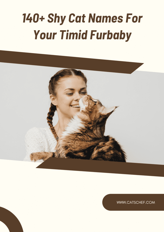 140+ Shy Cat Names For Your Timid Furbaby