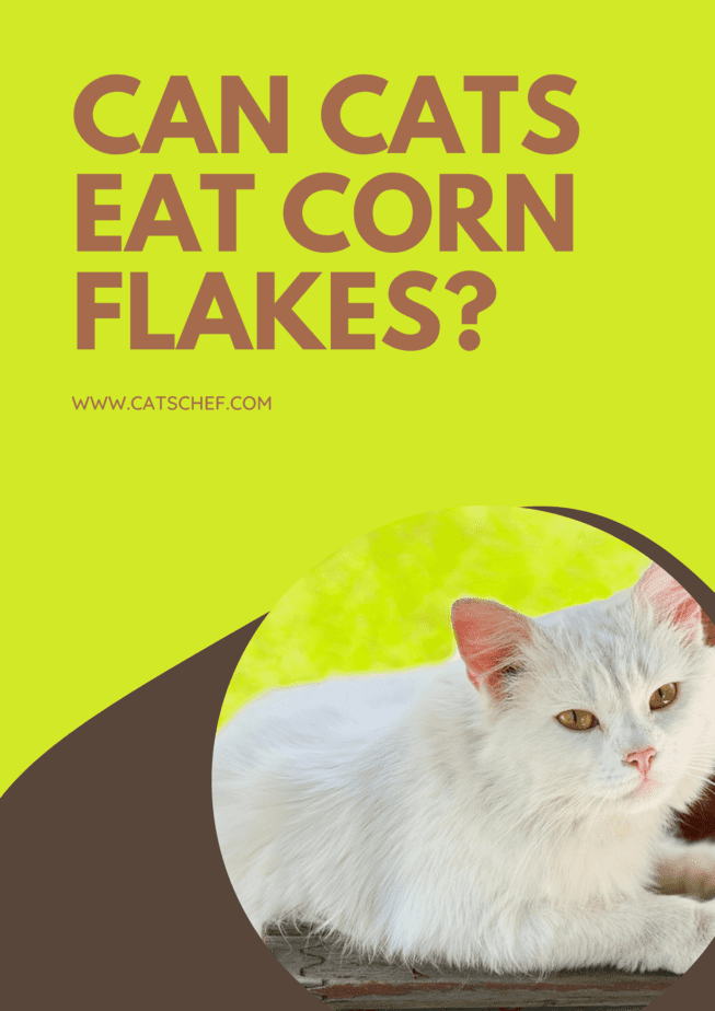 Can Cats Eat Corn Flakes?