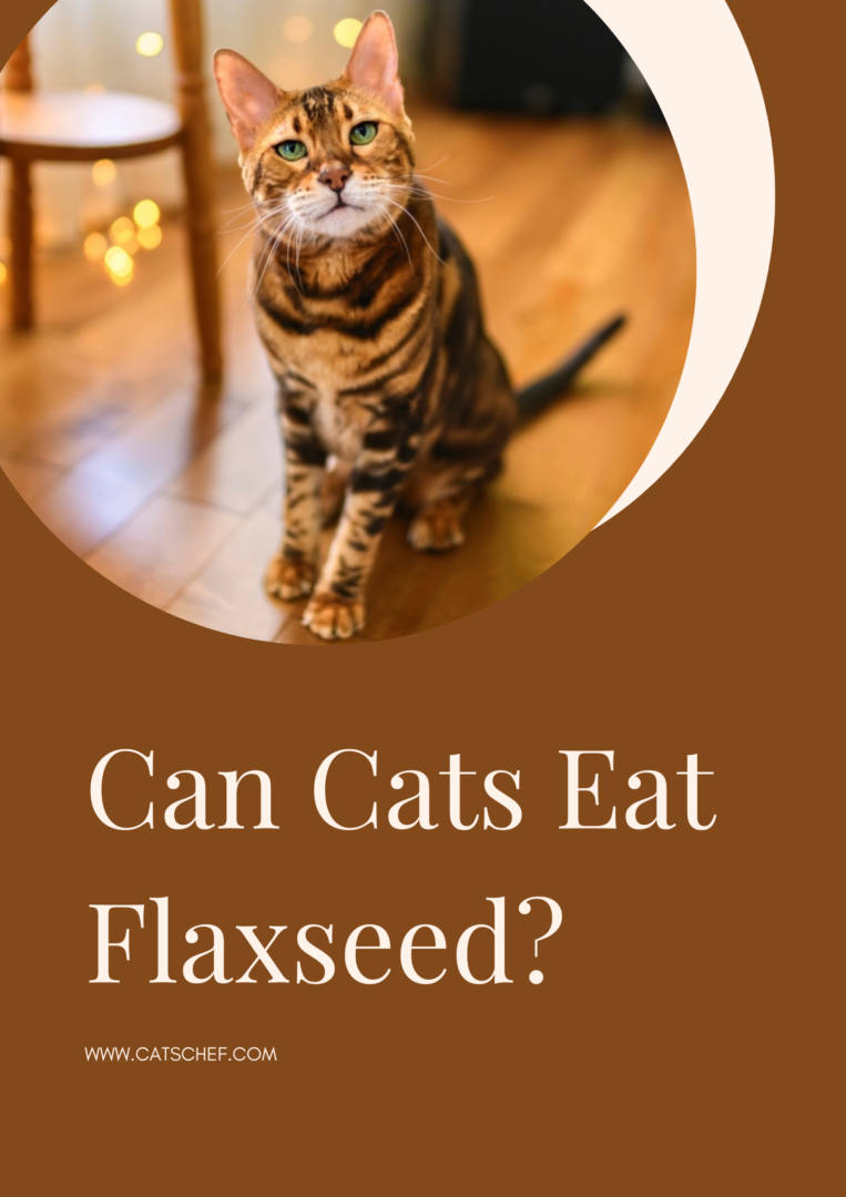 Can Cats Eat Flaxseed? Does It Awaken Their Greed?