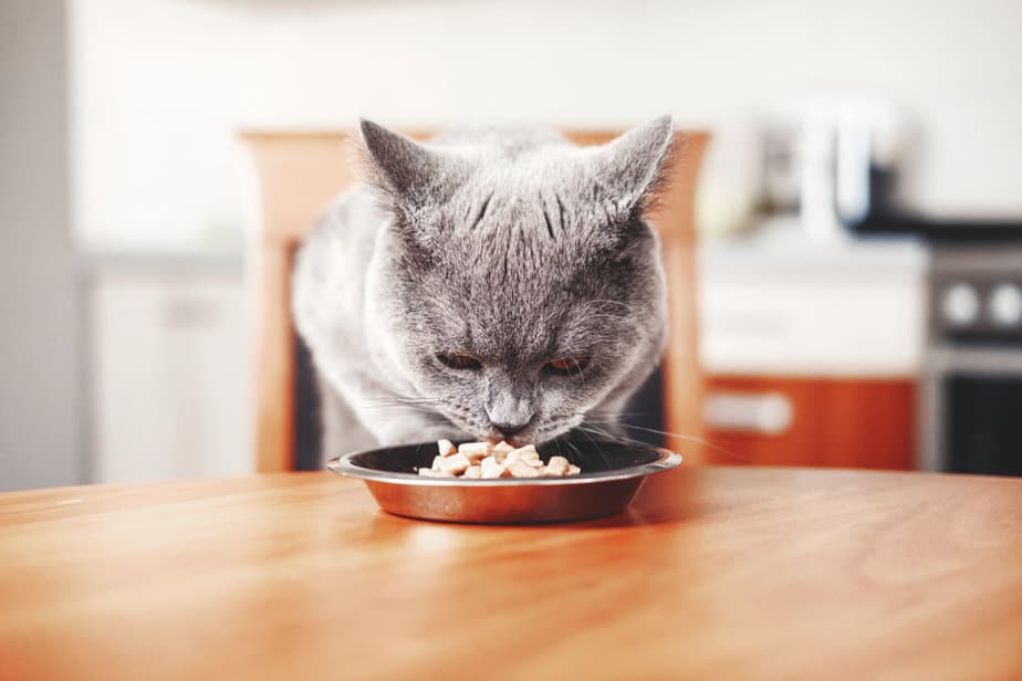 Kediler Patates Püresi Yiyebilir mi? Aşerdikleri Bir Şey mi?