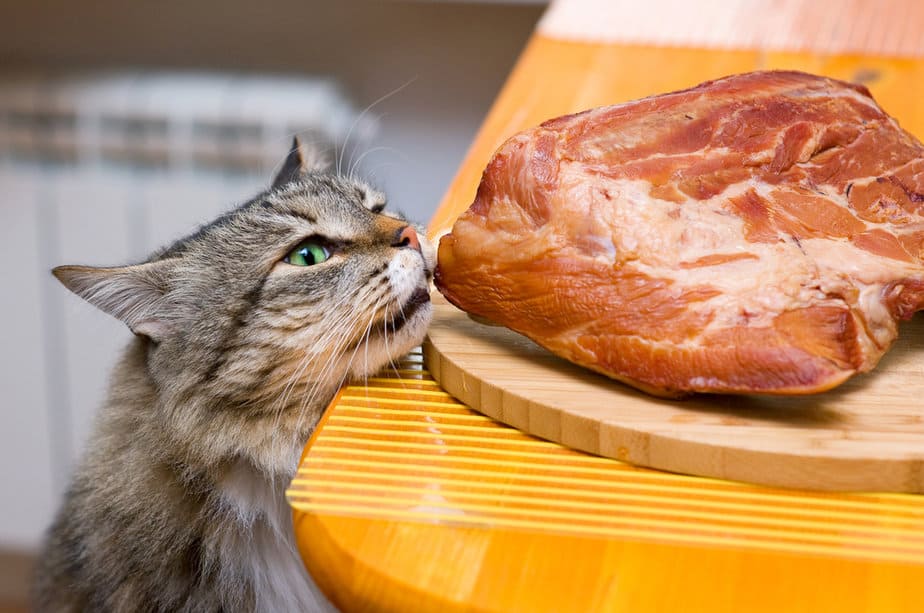 Kediler Çiğ Sığır Eti Yiyebilir mi? Vermek mi Yasaklamak mı?