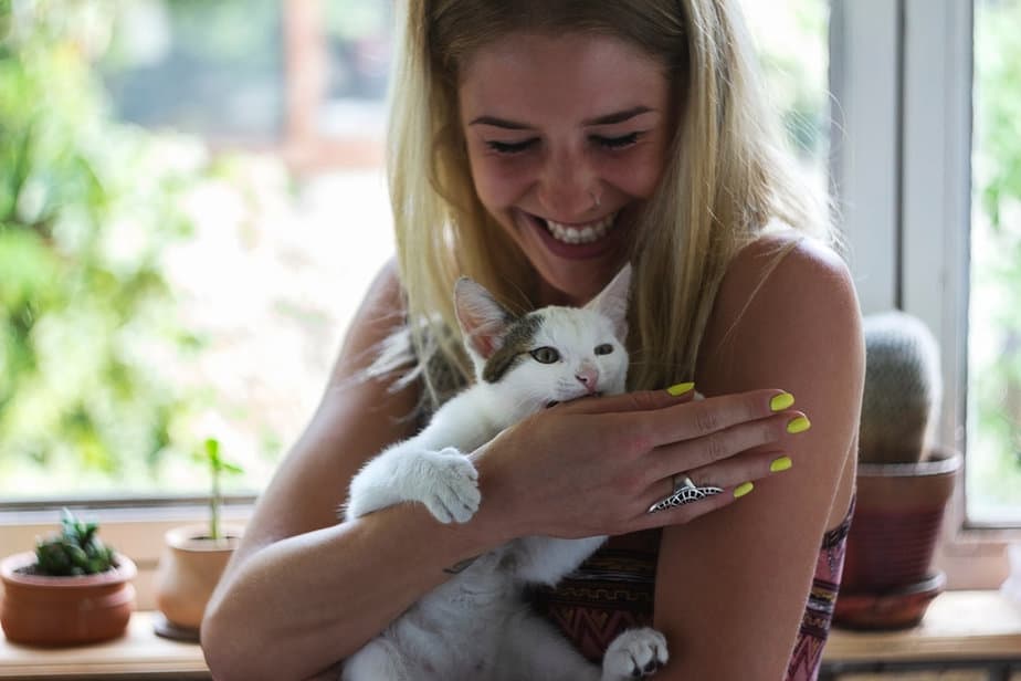 Why Does My Cat Bite Me In The Morning? What Does She Want?