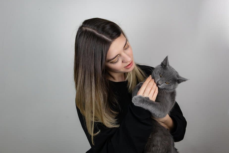 why-does-my-cat-bite-me-in-the-morning-what-does-she-want
