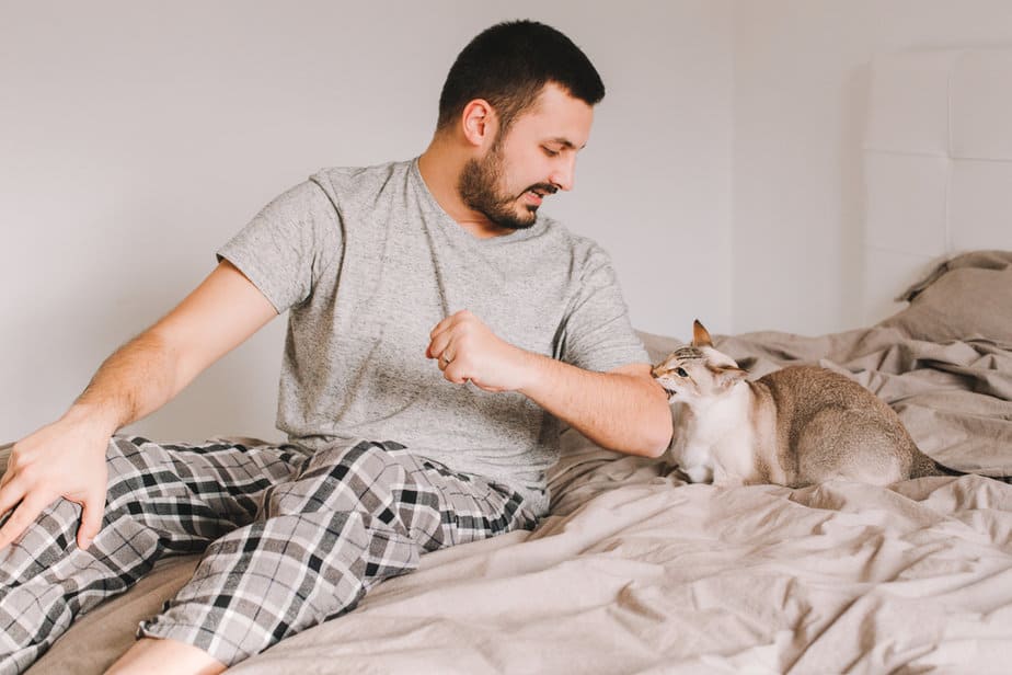 Why Does My Cat Bite My Nose? 12 Possible Explanations