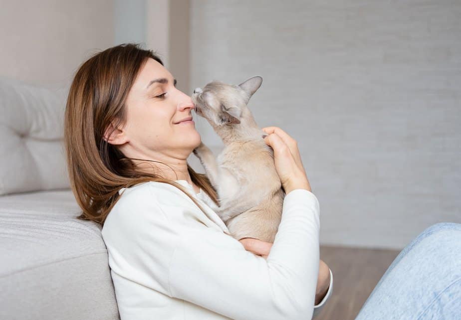 12 possible reasons your cat keeps biting your nose