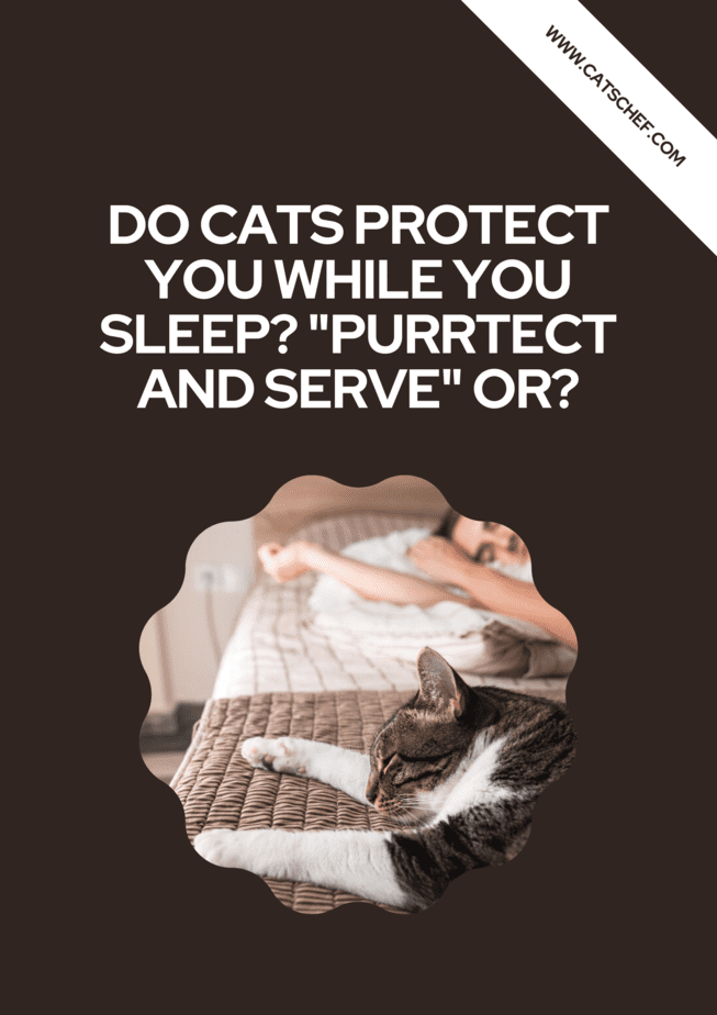Siz Uyurken Kediler Sizi Korur mu? "Purrtect And Serve" mi?