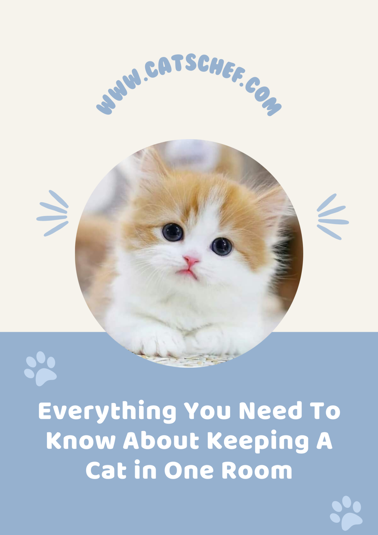 Everything You Need To Know About Keeping A Cat In One Room